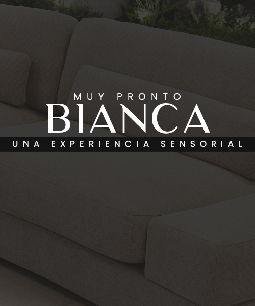 Velvet Promociones