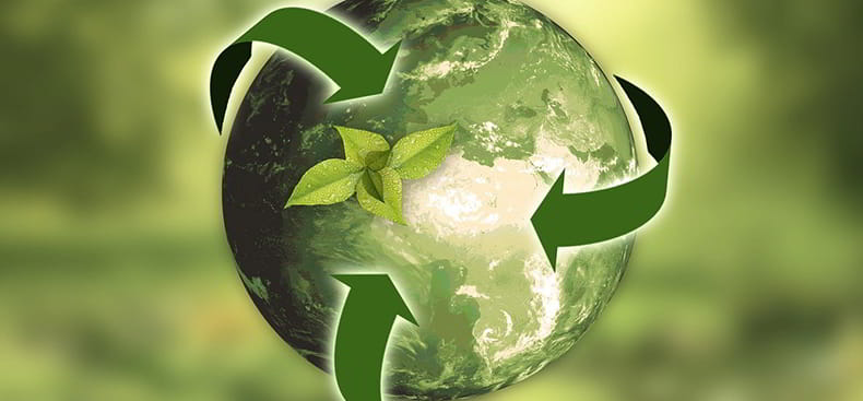 Decoración Sostenible: Consejos para un Hogar Eco-Friendly y Consciente