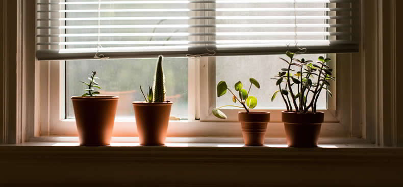 3 tendencias de decoración de verano 