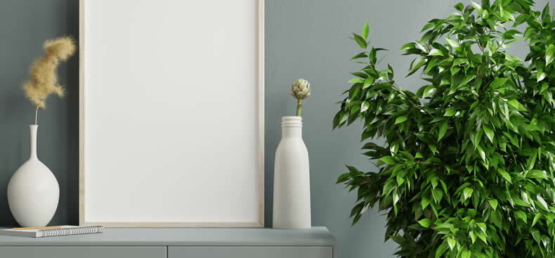 VELVET Confort | Las plantas de interiores para tu living