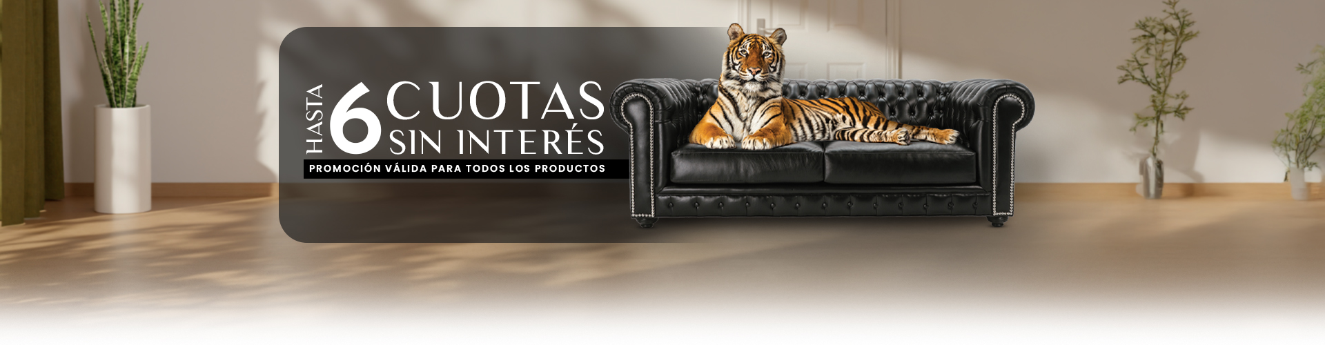 Velvet Promociones