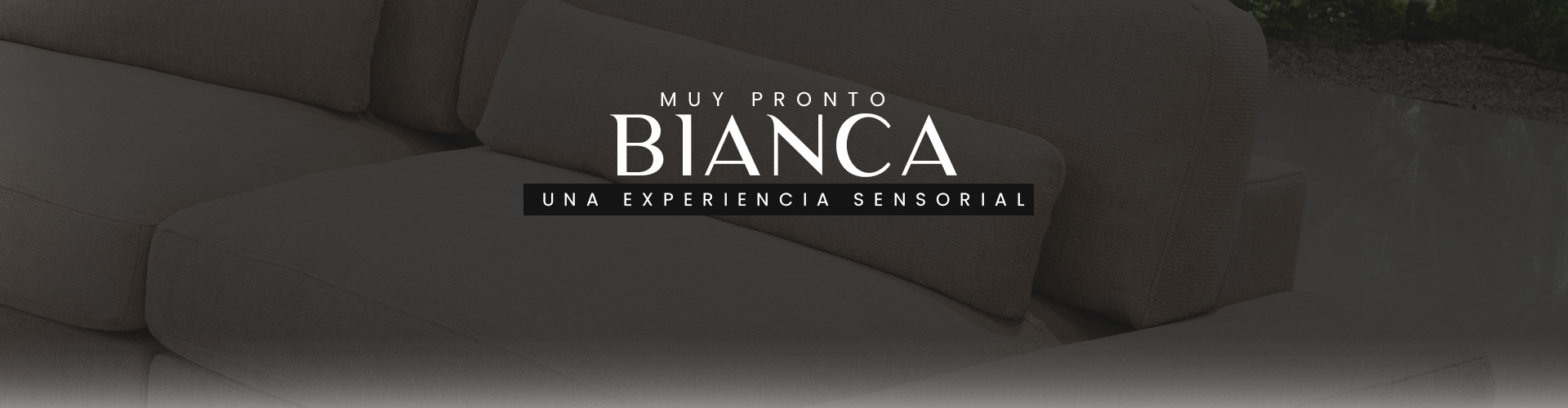 Velvet Promociones